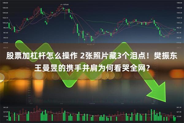 股票加杠杆怎么操作 2张照片藏3个泪点！樊振东王曼昱的携手并肩为何看哭全网？