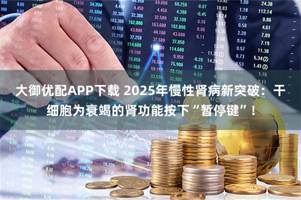大御优配APP下载 2025年慢性肾病新突破：干细胞为衰竭的肾功能按下“暂停键”！