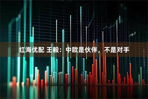 红海优配 王毅：中欧是伙伴，不是对手